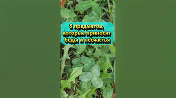 5 предметов, которые приносят беды и несчастья