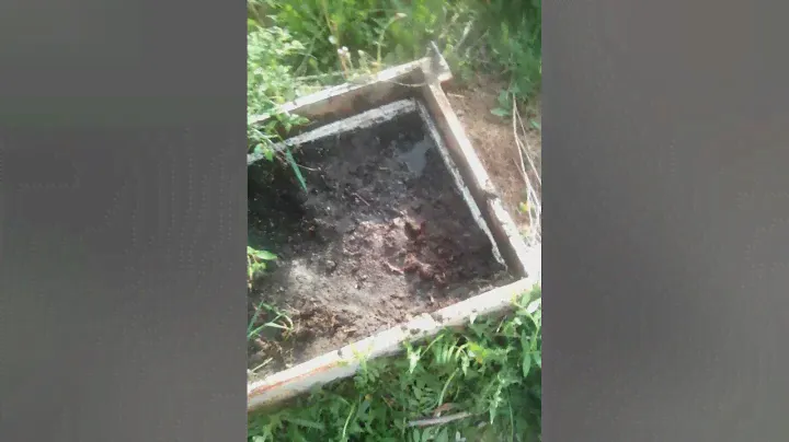 семена оругцов водолей и вяземский