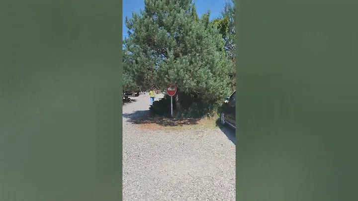 доехали! турбаза "водолей" и цены на отдых)