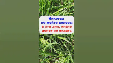 Никогда не мойте волосы в эти дни, иначе денег не видать