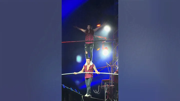 Demidov circus | Цирк Демидовых (Новороссийск 08.06.2024) | Vertical video
