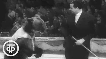 Медвежий цирк Валентина Филатова (1963)