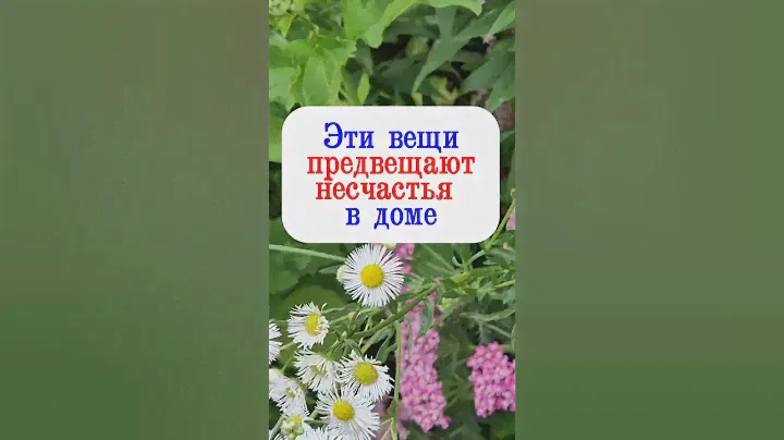 Эти вещи предвещают несчастья в доме по народным приметам