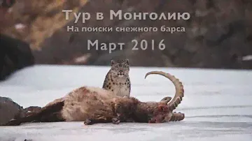Тур в Монголию - для самых сильных и смелых!