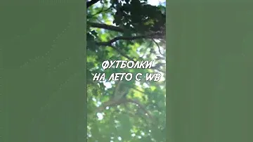 ФУТБОЛКИ НА ЛЕТО #wildberries #ozon #вайлдбериз #одежда #находки #футболки #лето #стиль