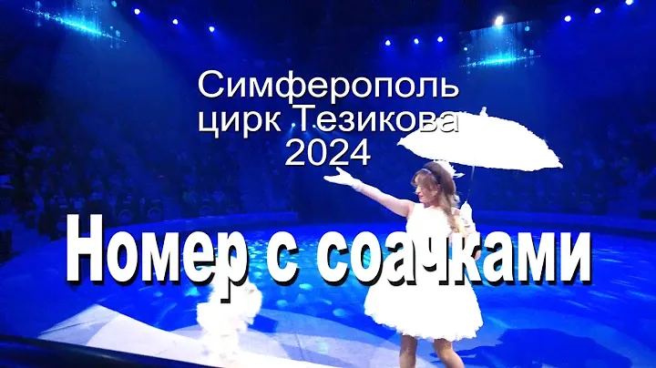 Цирк 2024 Собачки
