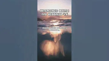 Интересные факты про знак зодиака Водолей ч.6 #гороскоп #зз #знакизодиака #водолей #астрология