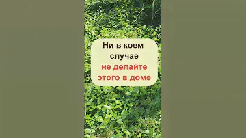 Ни в коем случае не делайте этого в доме