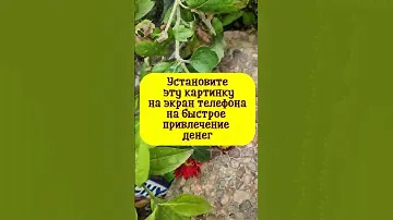 Установите эту картинку на экран телефона на быстрое привлечение денег