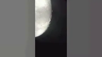 Сближение Луны и звезды созвездия Водолея