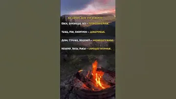 На самом деле эти знаки зодиака совсем не такие, как кажется! 😲 Узнайте правду!
