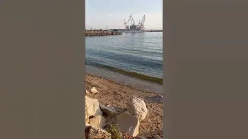 Лебеди в гавани на вечернем спокойном море в Балчике. Мир Универсологии